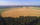 Spuren im Kornfeld